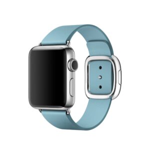 Apple Watch Strap 41mm Blue Jay Modern Buckle 45mm Leather Band